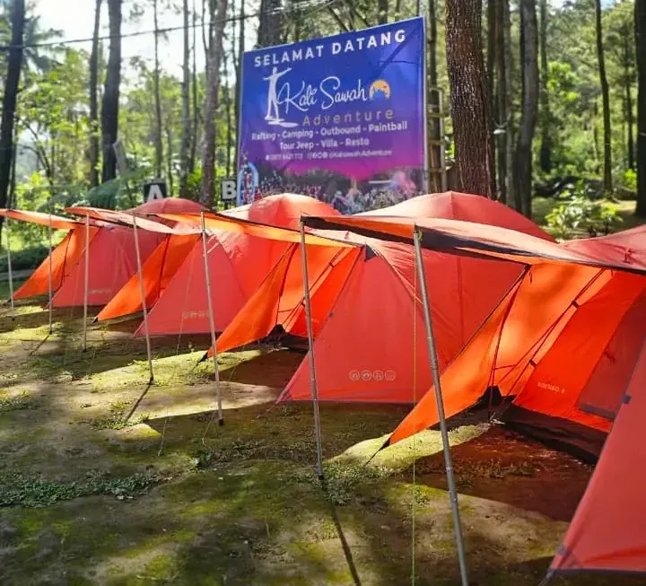 Tenda Seru Camp ,, camping di alama hutan pinus songgon, kalisawah adventure