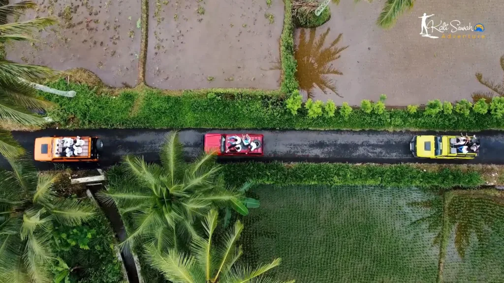 Jeep Adventure Banyuwangi di Kalisawah Adventure Songgon