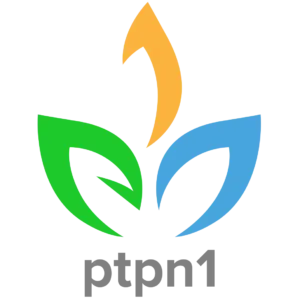 Logo PTPN 1
